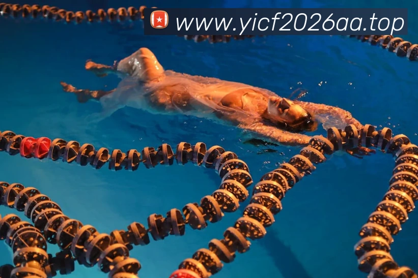 世界杯免费观看网站服务体系